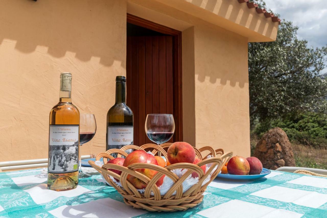 S'Ulumu Guest House Dorgali Luaran gambar