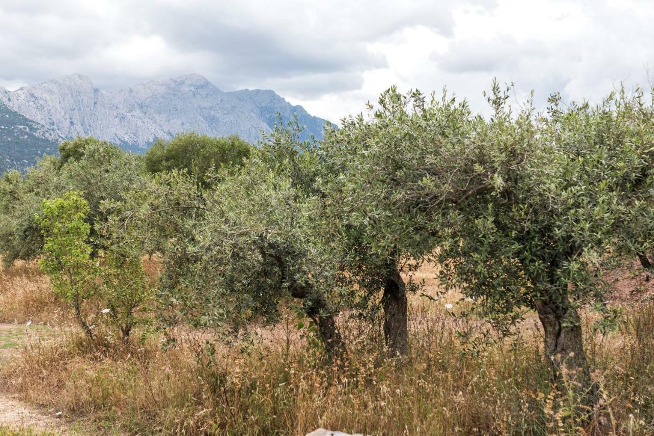 S'Ulumu Guest House Dorgali Luaran gambar