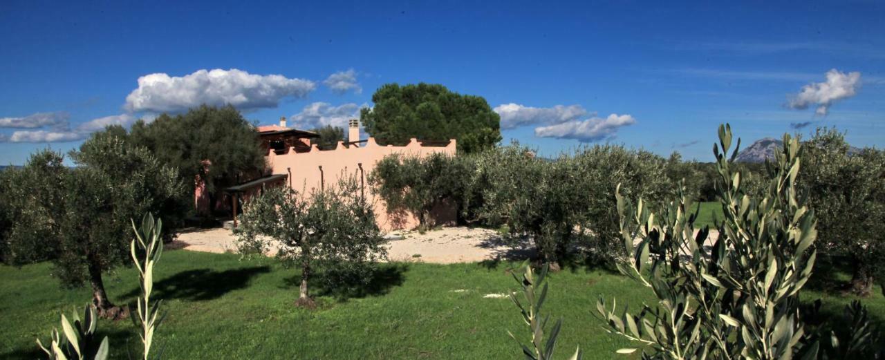 S'Ulumu Guest House Dorgali Luaran gambar
