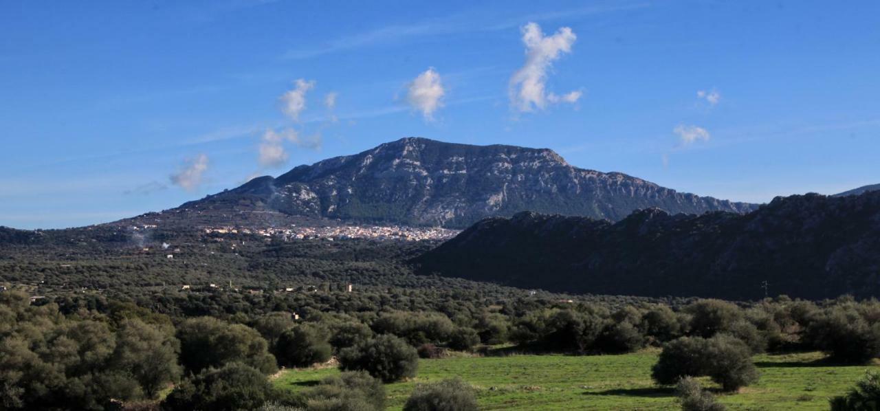 S'Ulumu Guest House Dorgali Luaran gambar