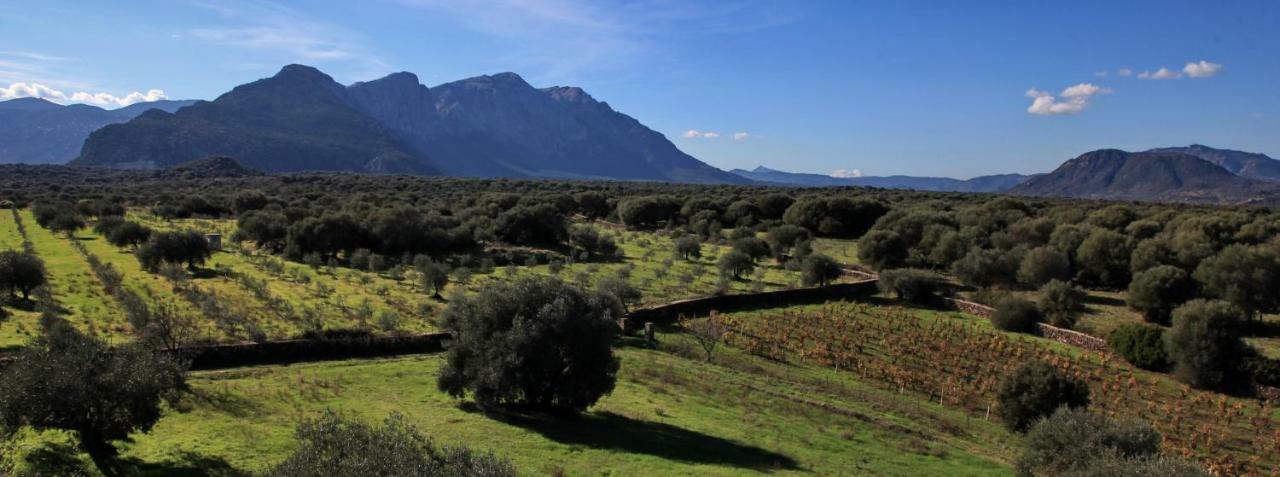 S'Ulumu Guest House Dorgali Luaran gambar