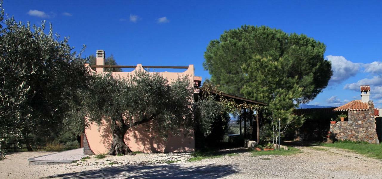 S'Ulumu Guest House Dorgali Luaran gambar